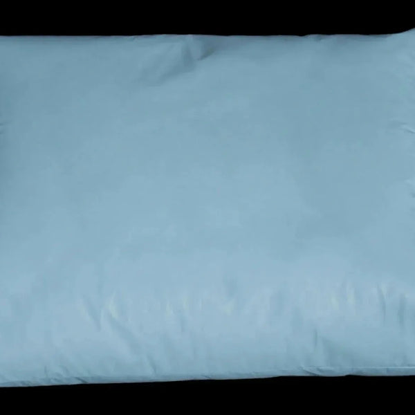 BTR Collection Reusable Healthcare Pillow 2 PK - Rifz Textiles Inc