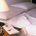 GMP Collection Micro Polyester Sheets 120 GSM Antistatic - Rifz Textiles Inc