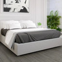 GPF Collection Fleece Blanket Charcoal Grey - Rifz Textiles Inc