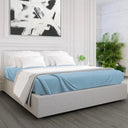 GPF Collection Fleece Blanket Light Blue - Rifz Textiles Inc