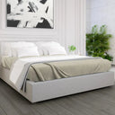 GPF Collection Fleece Blanket Vanilla - Rifz Textiles Inc